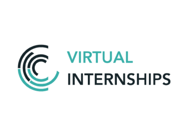 Virtual internships